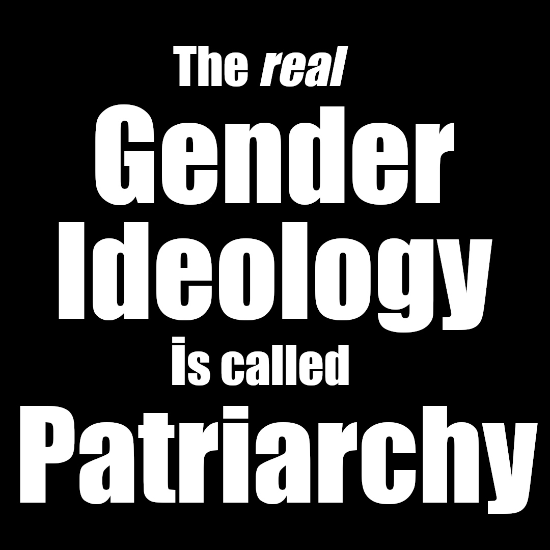 Meme.  Text reads: The real gender ideology is called patriarchy